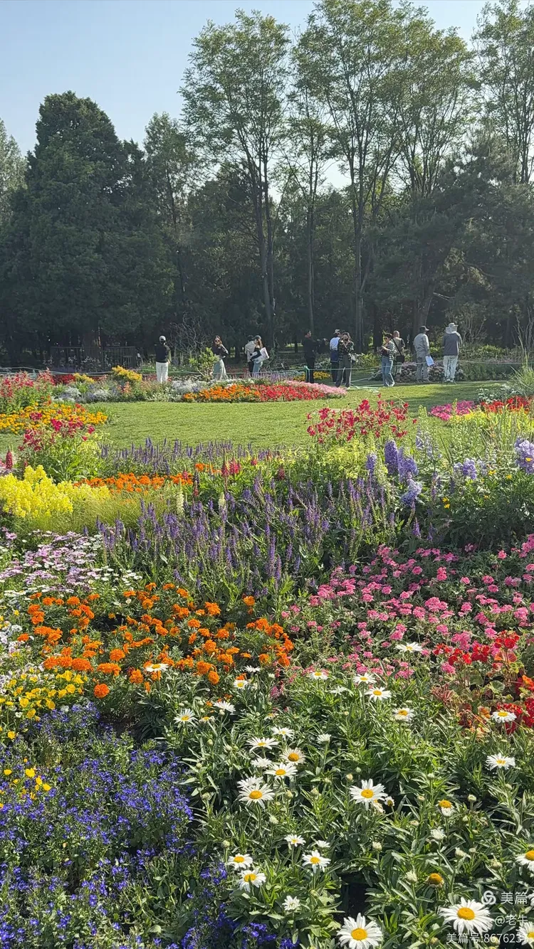 天坛百花园:五一的繁花之约